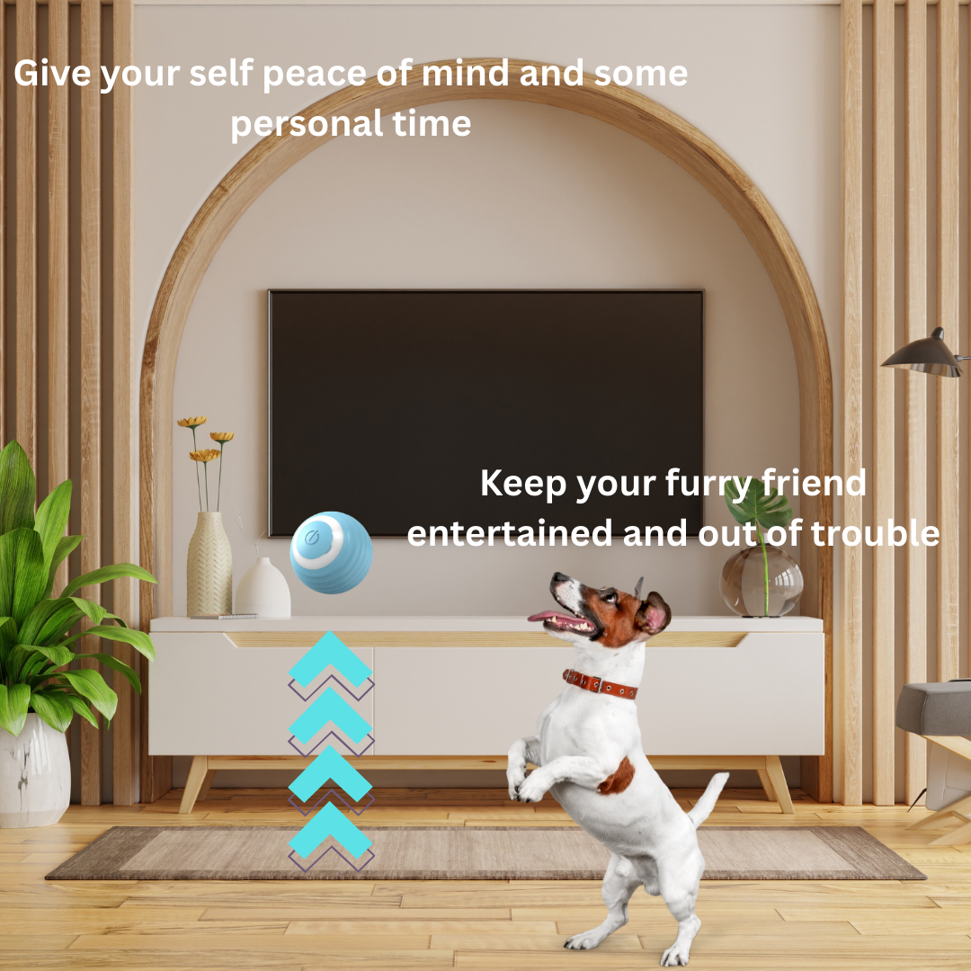 Jollysphere-interactive toy ball