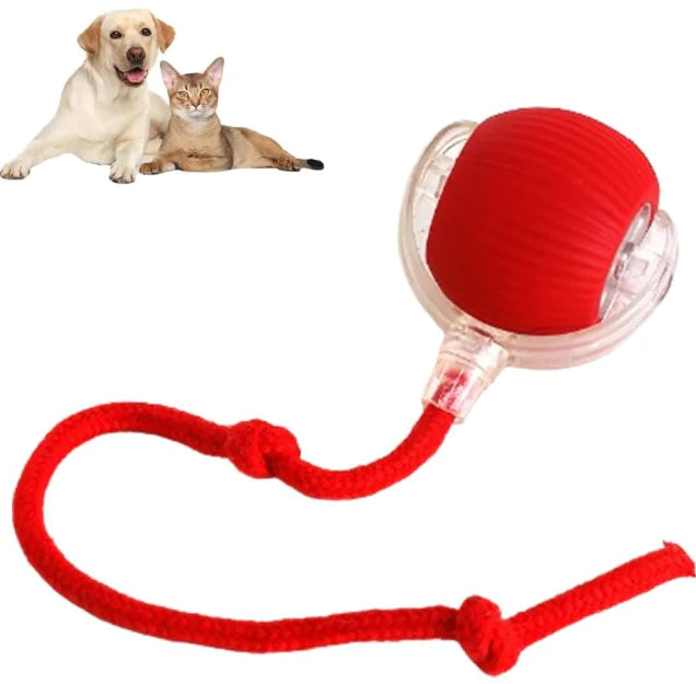Tail chase rolling ball