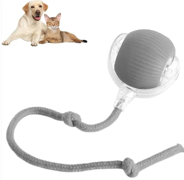 Tail chase rolling ball