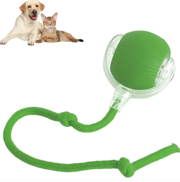 Tail chase rolling ball
