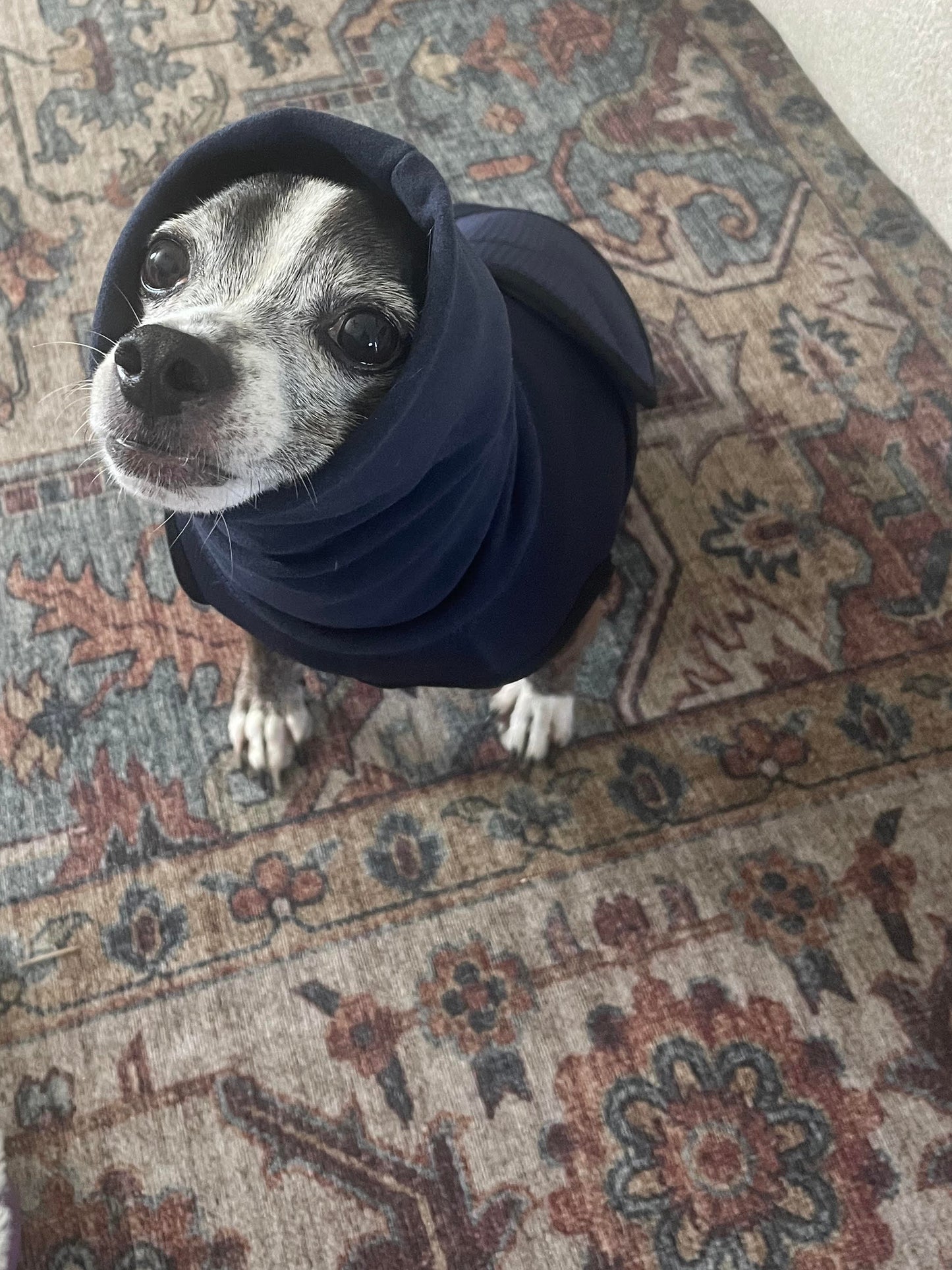 Dog Anti-Anxiety Jacket